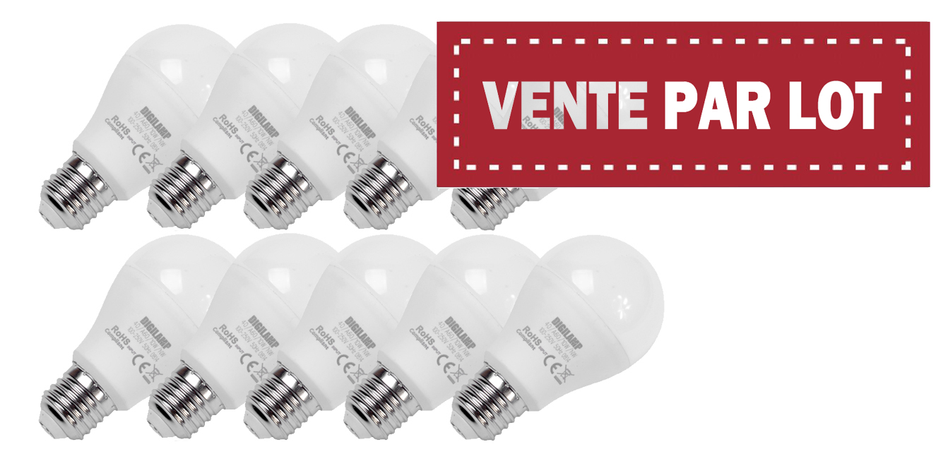 Lot de 10 Ampoules LED E27 10W 6000K - Projecteur LED Shop