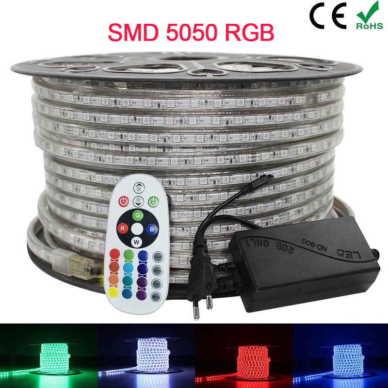 Ruban LED CHANTIER sécable 5050-60 Led/m en silicone 50M Étanche