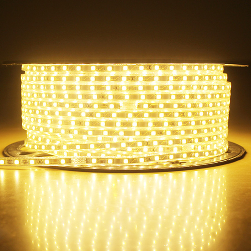 Ruban LED 230V recoupable SMD5050 IP67 14.4W/M 60LEDs/m - Digilamp